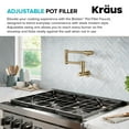 thumbnail image 4 of KRAUS® Bolden™ Wall Mount Pot Filler Kitchen Faucet with Retractable Arm in Spot-Free Brushed Brass, 4 of 14