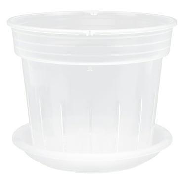 NUOLUX 1 Set Phalaenopsis Flower Pot Transparent Plant Cup Gardening Orchid Planting Containers