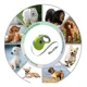 thumbnail image 3 of Correa Retráctil Para Perros 5 Mts Durable Hasta 40 Kg, 3 of 6
