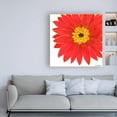 thumbnail image 3 of Trademark Fine Art 'Bright Blossoms I Childrens Art' Canvas Art by June Erica Vess, 3 of 3
