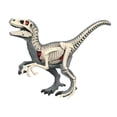 thumbnail image 1 of HILABEE Animal Body Model Classroom Body Organ Parts for Study Tool Ages 8+ Children 3105, 1 of 9