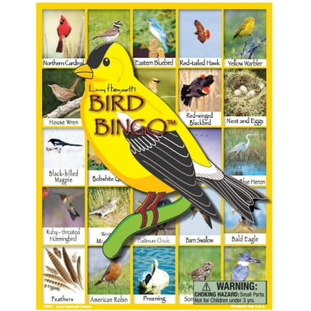 - Lucy Hammett Bird Bingo