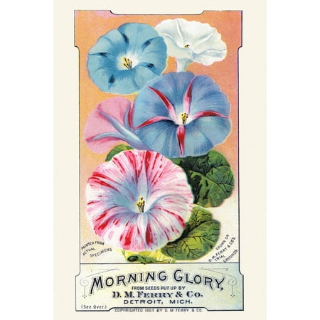 Ferrys Seed - Victorian trade card for a seed company DM Ferry & co showing the actual flowers you can grow Poster Print by unknown