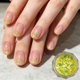 thumbnail image 5 of Luminous Dazzling Nail Art Powder with Shimmering Iridescent Glitter Mix, 5 of 5