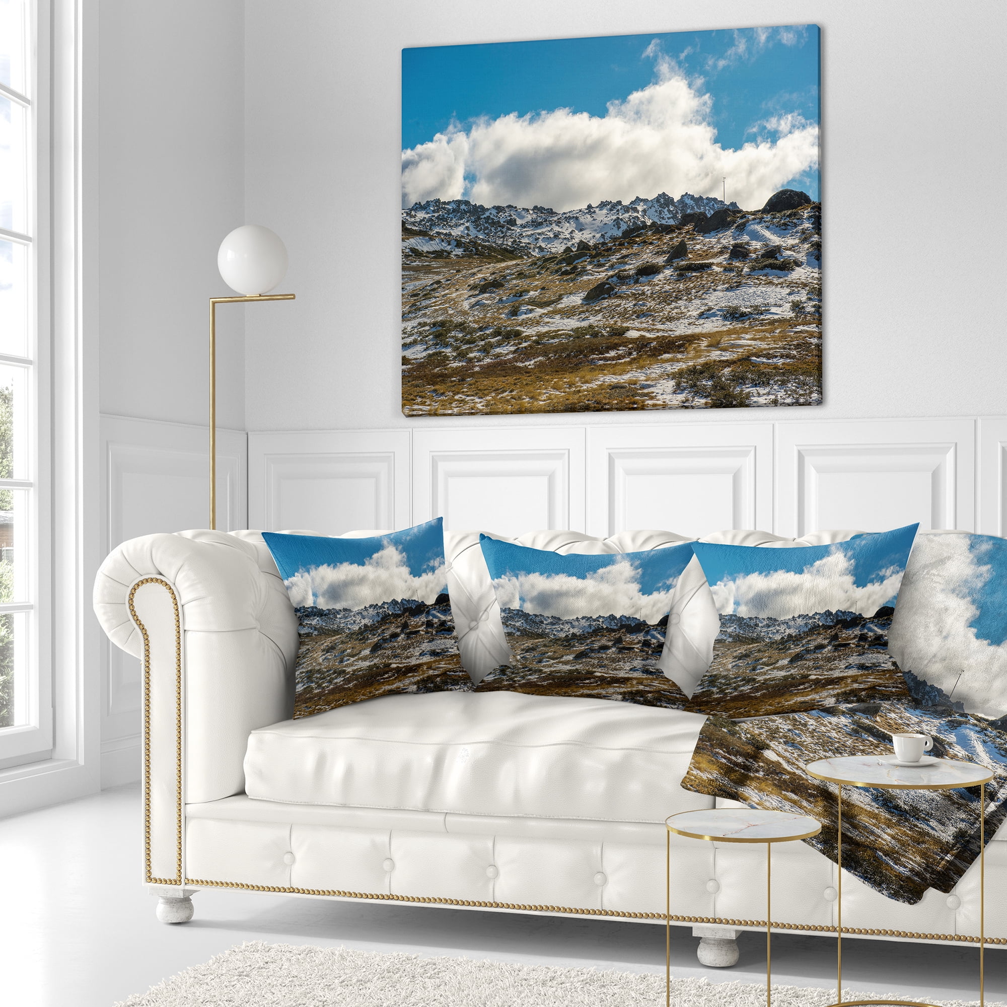 Designart Wide View of Kosciuszko National Park - Seashore Throw Pillow - 18x18