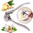 thumbnail image 7 of NOBRAND Garlic Press Multifunctional Anti-Skid Zinc Alloy Stainless Steel Silver 1-Pack, 7 of 7