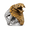 Gold, variant on Men's Cobra Snake Ring, Stainless Steel Biker Statement Ring with Raised Hood and Textured Scales, US Sizes 7-13, Gothic Punk Style for Concerts, Halloween and Gift for Him