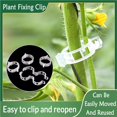 thumbnail image 3 of 300Pcs Plant Support Clips, Plastic Trellis Clips, Plant Clips for Climbing Plants, Grape and Tomato Vine, Vegetables Plants, Garden Clips to Grow Upright Makes Plants Healthier, 3 of 7