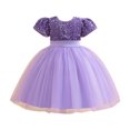 thumbnail image 3 of HAiming Children's Sequin Dress Flower Girl Short Sleeve Round Neck Pleated A-Lined Princess Dress Wedding Gown, 3 of 4