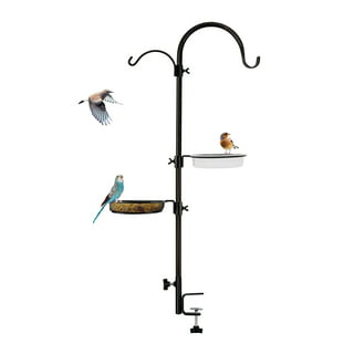 Perky Pet Clear Window Mount Bird Feeder – Brothers Country Supply