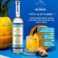 thumbnail image 3 of Paquete de 3 Mezcal 400 Conejos Joven 1 L, 3 of 3