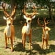 thumbnail image 5 of 15/20/25/30cm Elk de Navidad ciervo de simulación de felpa 2022 decoración de Año Nuevo hogar adornos de regalo de Navidad Noel Navidad Kits de decoración para fiestas Marrón 30 centimetros Cateissary JJ16210-04, 5 of 6