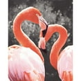 thumbnail image 3 of Van Swearingen, Debra 12x14 Black Modern Framed Museum Art Print Titled - Flamingo II on BW, 3 of 5