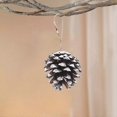 thumbnail image 2 of Piñas de pino naturales navideñas a granel Piñas de nieve rústicas con cuerda Colgante de piña Adornos colgantes de invierno para Navidad Trdi Man Jiaee Gift Ta, 2 of 4