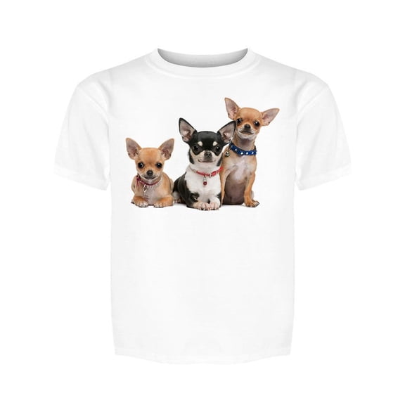 Three Cute Chihuahuas Tee Girl's -Image by Shutterstock