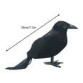 thumbnail image 6 of Coollooc Halloween Decorations 3 PCS Realistic Crows Halloween Decor Birds Black Feathered Crows - Halloween Ravens Prop Decor Outdoor Indoor Party Decoration, Crow Decor, Raven Decor, 6 of 9
