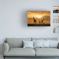 thumbnail image 2 of John Fan 'Golden Africa' Canvas Art, 2 of 4