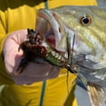 thumbnail image 2 of Tackle HD 8-Pack Hi-Def Craw Bass Lures, 3D Scanned From Live Crawfish, 3-Inch Soft Plastic Crawfish Lures for Bass Fishing, Rubber Fishing Lures for Freshwater, HD Magic, 2 of 6