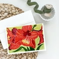 thumbnail image 2 of Flower - Amaryllis Greeting Cards and Envelopes Pack of 8, 2 of 2