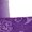 Purple, variant on Lovzfmll Women's Underwear, 2-Pack High Waist Embroidered Rose Panties, Cotton Butt Lifting Briefs, Comfortable Tummy Control Underwear with Lace Trim