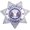 Silver, variant on Hero's Pride 3" SECURITY OFFICER Star Emblem Badge – Silver Plated, 7-Point, Durable Pin Back
