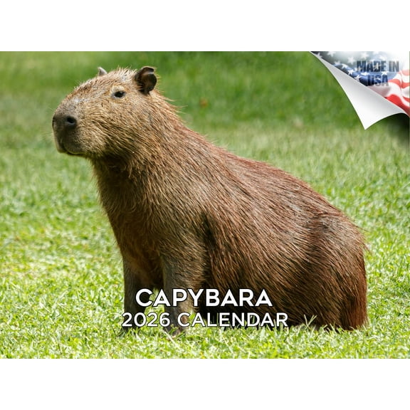 2025 2026 Capybara Monthly Wall Calendar - Wildlife Calendar - 12 x 18 Open - Thick No-Bleed Paper - Giftable - Academic Teacher's Planner Calendar Organizing & Planning Calendar