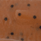 Pumpkinseed