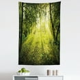 thumbnail image 1 of Forest Tapestry, Freshening Morning in Nature Summer Season Sunset Environment Wilderness Mist Theme, Fabric Wall Hanging Decor for Bedroom Living Room Dorm, 5 Sizes, Green, by Ambesonne, 1 of 1