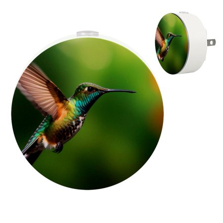 

Bird Automatic night lights plug into wall Dusk to Dawn Sensor Nightlights for Kids & Adults for Bathroom Hallway