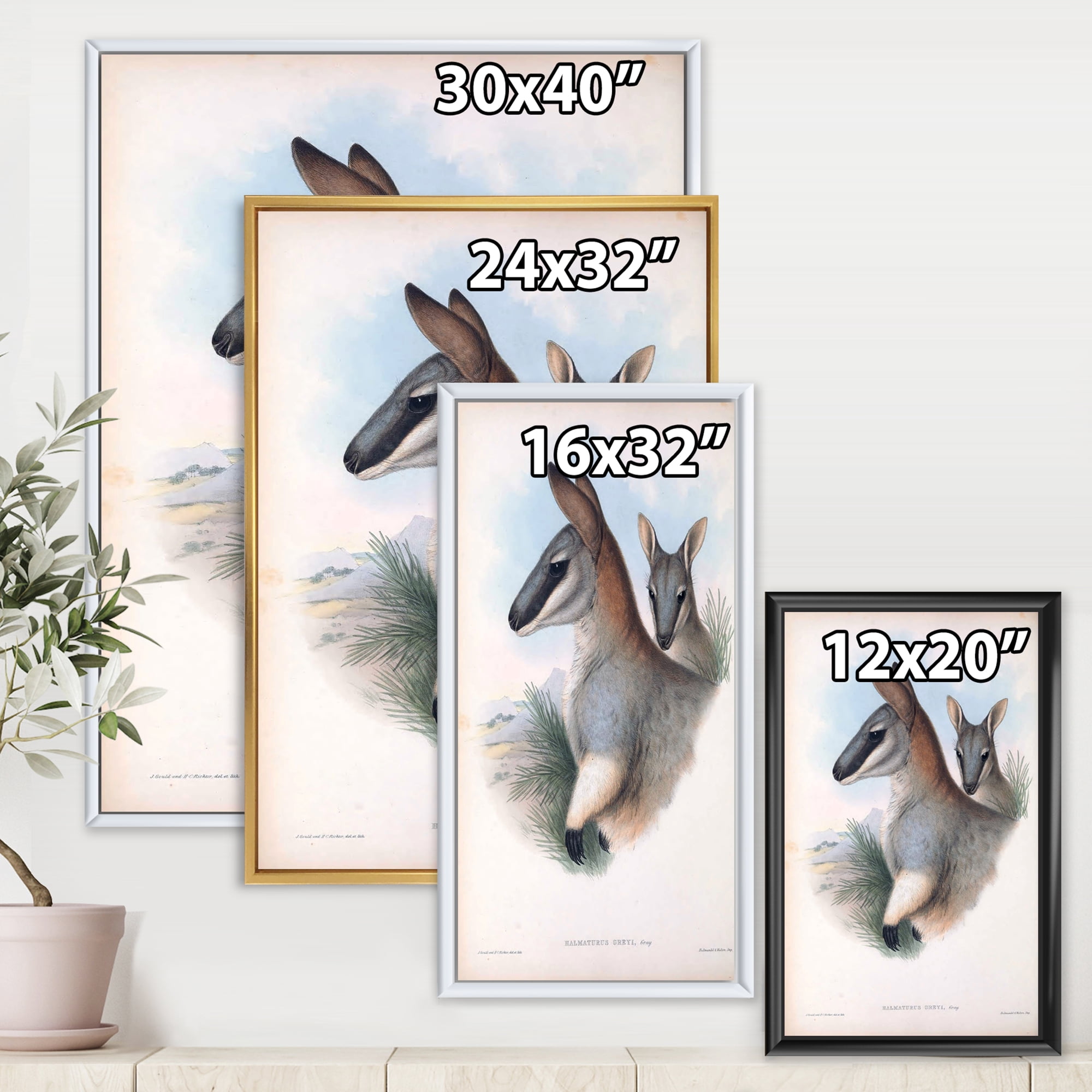 Designart 'Ancient Kangaroo' Farmhouse Framed Canvas Wall Art Print