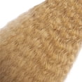 thumbnail image 4 of Mechones de pelo DiexRlamx Kinky Straight Honey Blonde #27 40-80 cm, 4 of 7