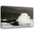 thumbnail image 1 of Vitaly Geyman 44x33 Gallery Wrapped Canvas Wall Art Titled - Sea Fan, 1 of 4