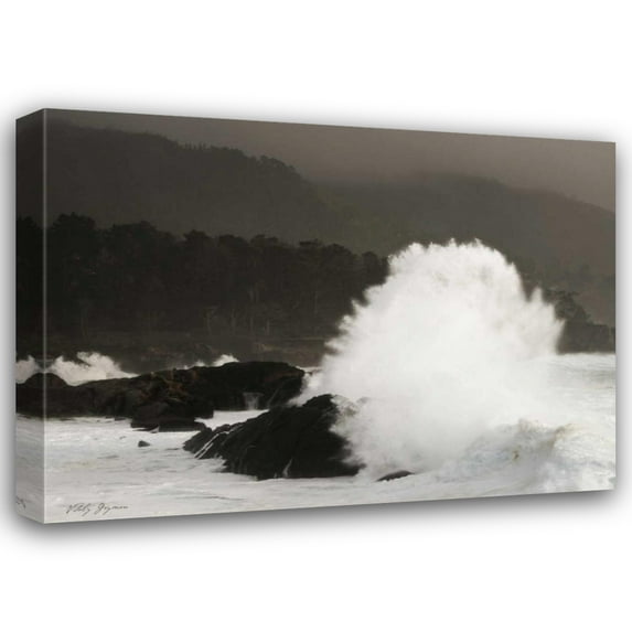 Vitaly Geyman 44x33 Gallery Wrapped Canvas Wall Art Titled - Sea Fan
