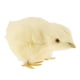 thumbnail image 1 of Simulación De Peluche shamjiam Figura Animal Pollo Relleno 9x6x6cm, 1 of 5