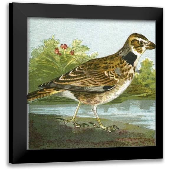 Unknown 12x12 Black Modern Framed Museum Art Print Titled - Mini Vintage Birds III