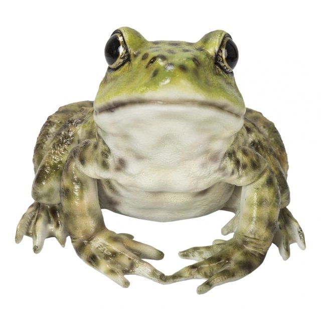 Figurine Hi-Line Gift Ltd American Bullfrog, poliresina verde