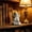 White-8C, variant on MMJ Resin Cherub Figurines Set of 4 Praying Hugging Angel Statues for Home Shelf Desk Memorial Decor