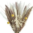 thumbnail image 1 of Ramo de flores de caña de phragmites, hierba de la pampa seca rústica Queen para jarrón. A, 1 of 9