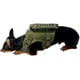 thumbnail image 5 of Pechera Tactica P/perros Y Gatos, Razas Pequeñas Ajustable, 5 of 8