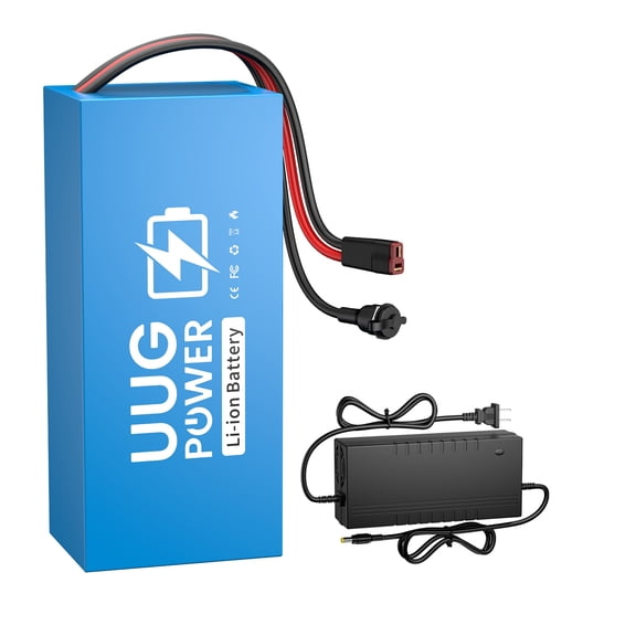 36V 10AH Battery Bicycle Replacement Lithium ion 750W with 42V 2A Adapter