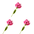 thumbnail image 1 of Clavel Ganchillo Punto Terminado para Cumpleaños Boda (rosa) Rojo, 1 of 8