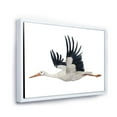 thumbnail image 2 of Designart Flying White Stork Ciconia Bird FLOAT FRAME WALL ART, 2 of 4