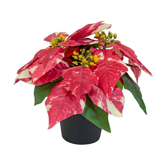 MixMart Christmas Artificial Poinsettia Plant Artificial Bonsai Desktop Ornament Decorative Artificial Plants for Winter Home Holiday C