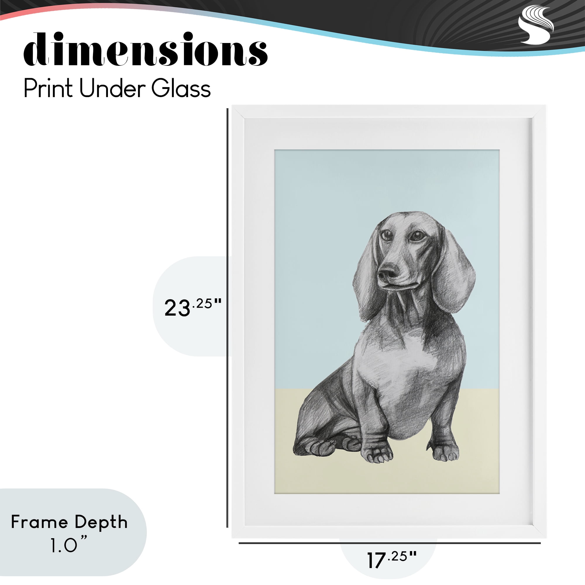 Stupell Industries Sitting Dachshund Sketch White Framed Print Under Glass, design by Violeta Vollmer