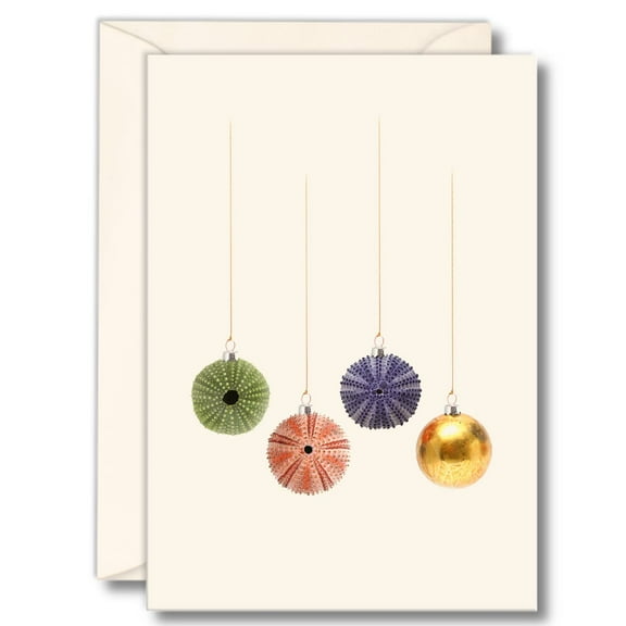 Earth Sky   Water - Sea Urchin Christmas Notecard Set - 8 Blank Cards with Envelopes