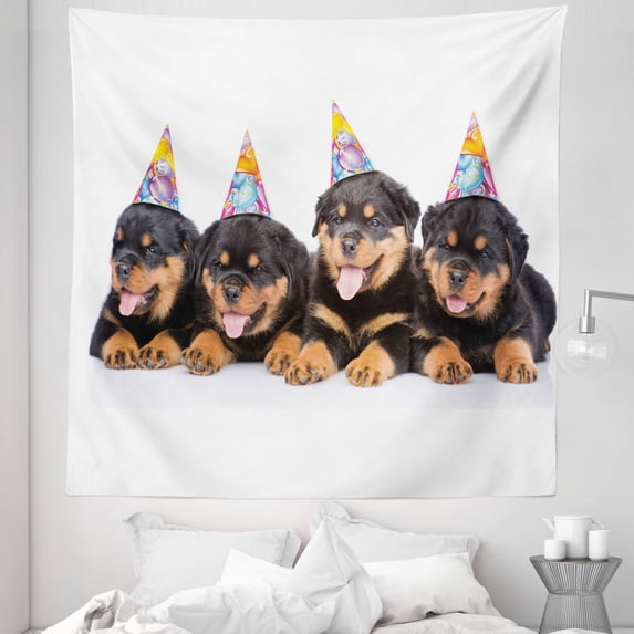 Birthday Tapestry, Rottweiler Pets Party Cone Hats Puppies Dogs Art Print, Fabric Wall Hanging Decor for Bedroom Living Room Dorm, 5 Sizes, Marigold and Black, by Ambesonne