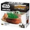 Chia Pet 6054453 Star Wars Terracotta Clay Decorative Planter, Multi Color - Pack of 16