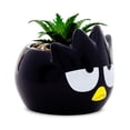 thumbnail image 2 of Mini maceta Sanrio Badtz-Maru de cerámica con plantas suculentas artificiales, 2 of 9