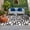 White, Black, Gray, variant on Abstract Boho Outdoor Rug for Patio/Deck/Porch, Non-Slip Large Area Rug 5 x 8 Ft, Middle Century Rustic Black White Texture Indoor Outdoor Rugs Washable Area Rugs, Camping Rug Carpet Runner