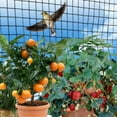 thumbnail image 7 of Sunny Bird Netting Net For Bird Poultry Avaiary Game Pens Black Mesh-50' X 50', 7 of 7